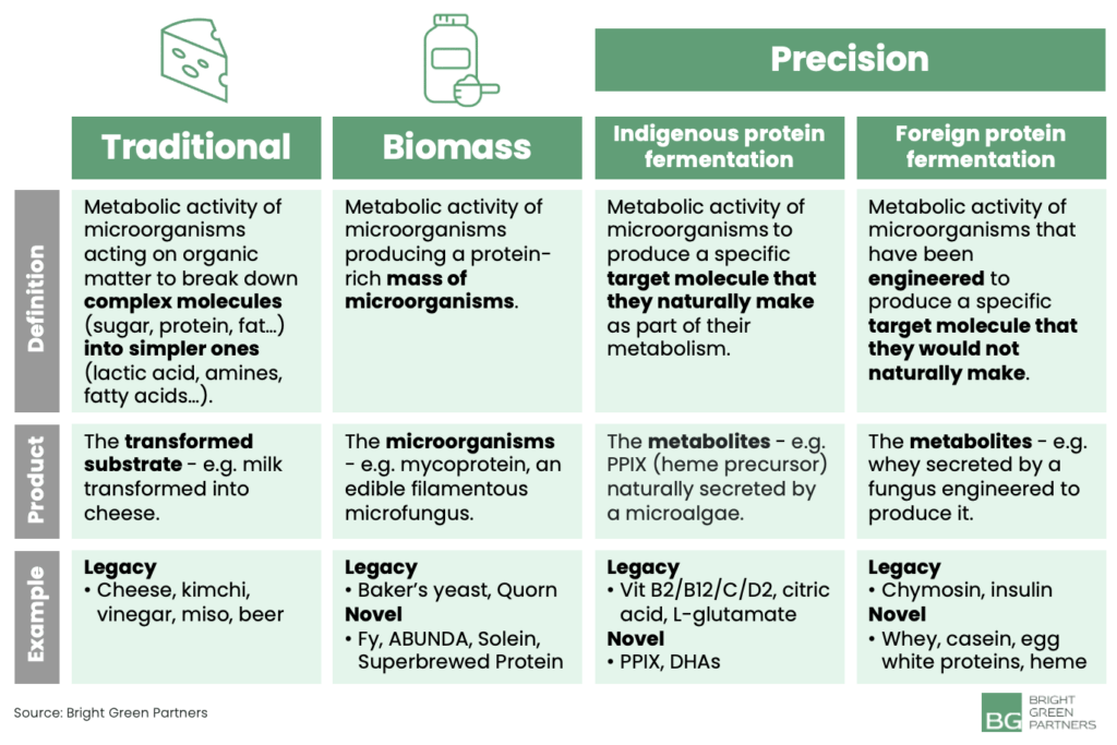 is-precision-fermentation-the-key-to-authentic-alt-protein-bright