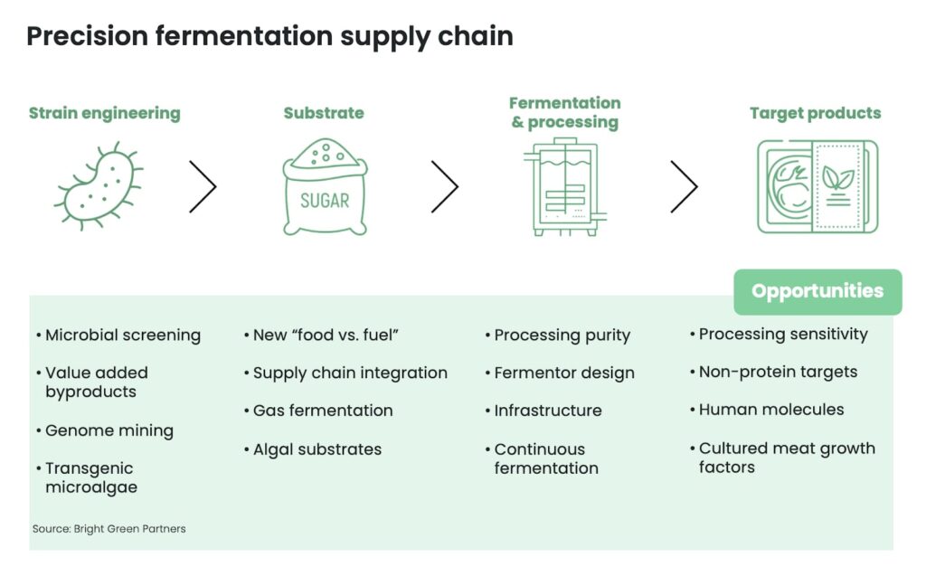 Precision fermentation, Making food with microbes