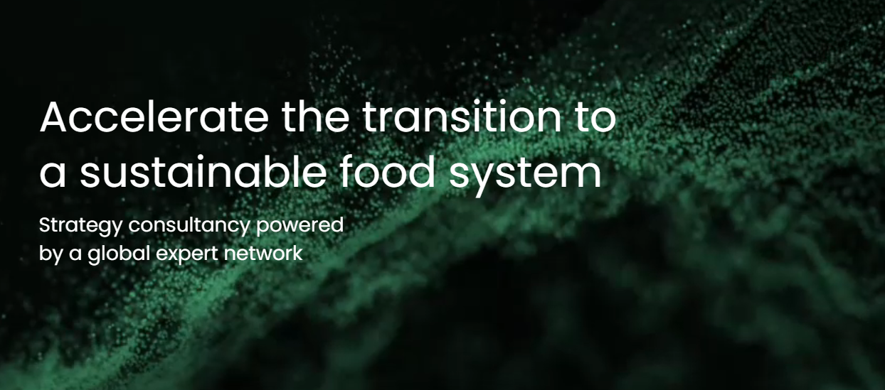 Insights sustainable food advisory Bright Green Partners