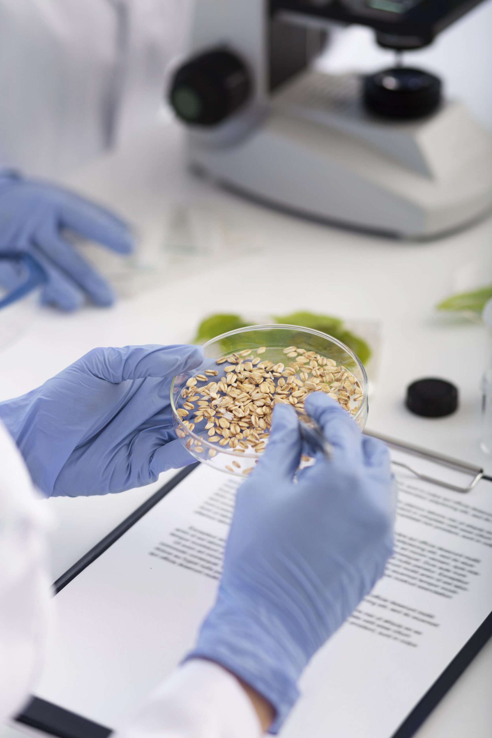 Foodtech laboratory grains