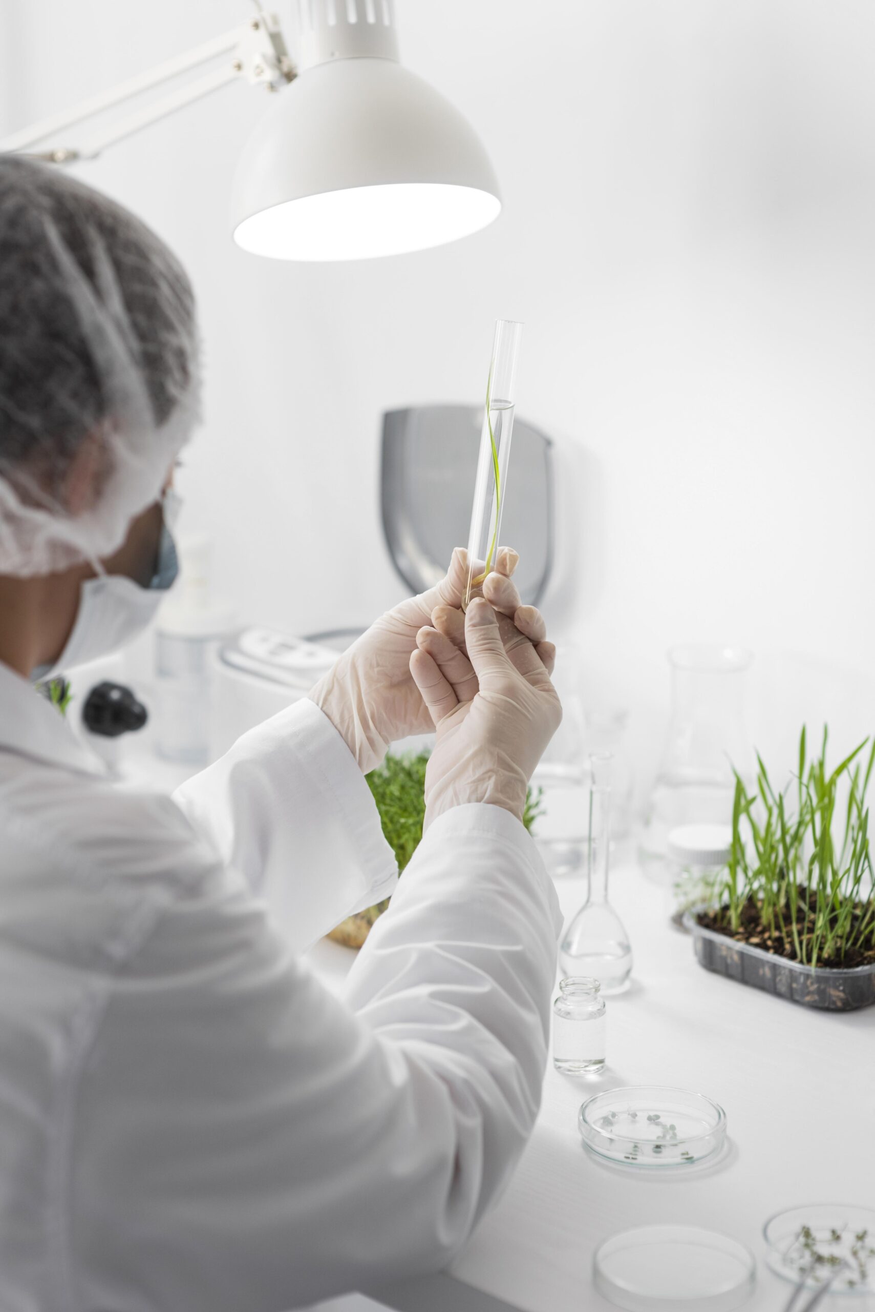 Food innovation
