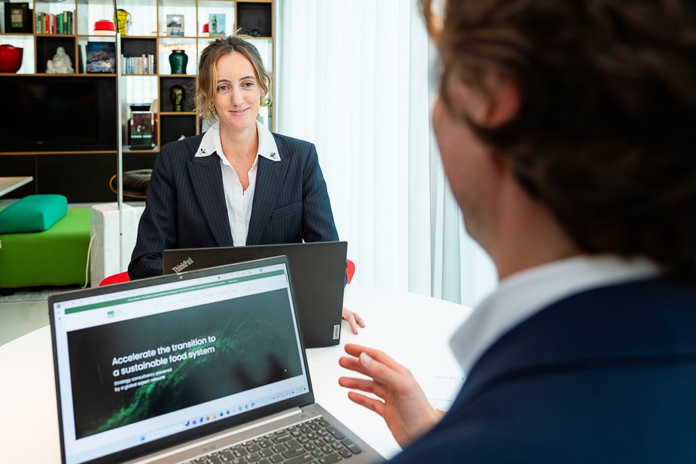 New product / service development | Bright Green Partners