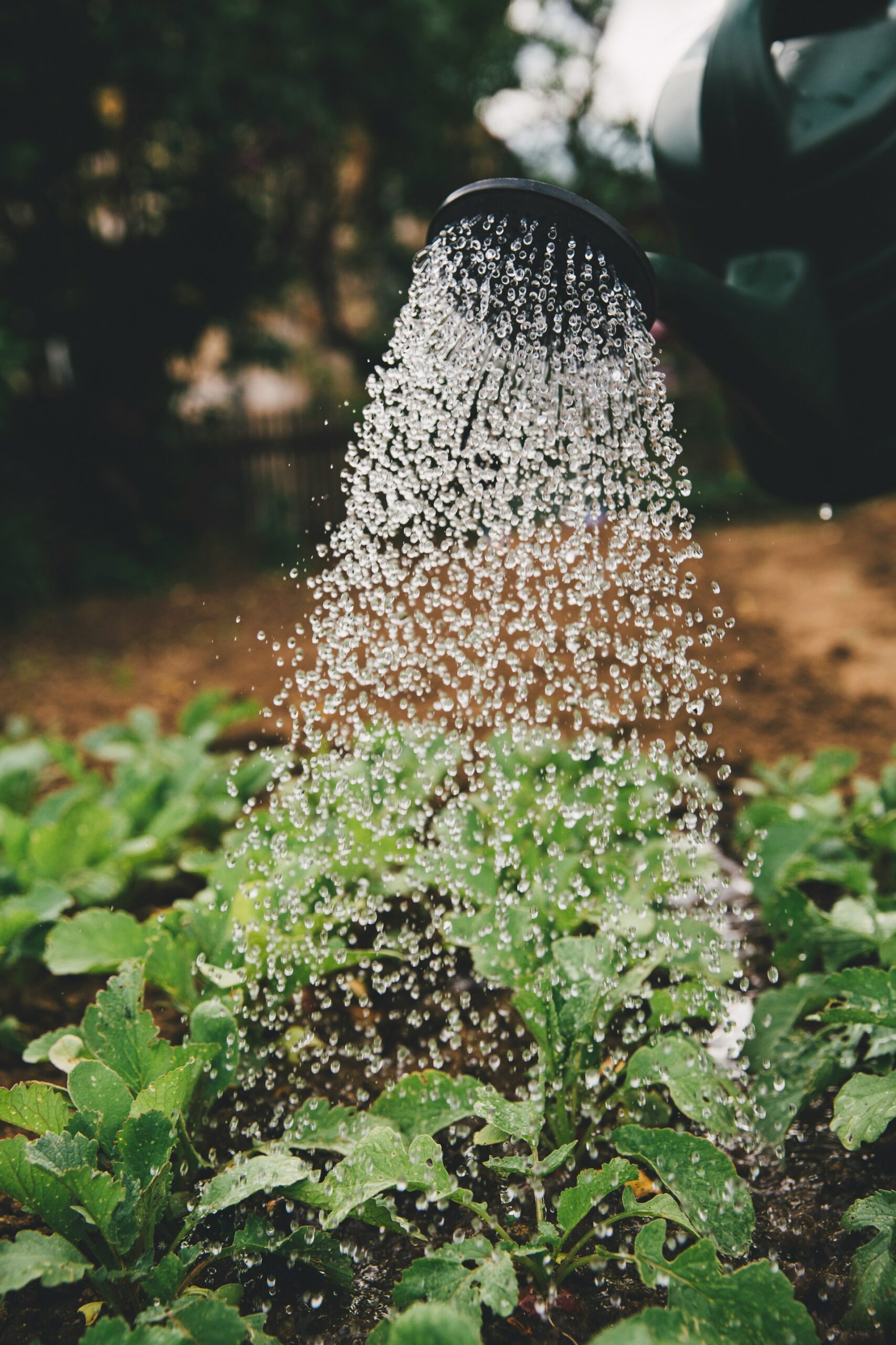 Agriculture technology irrigation