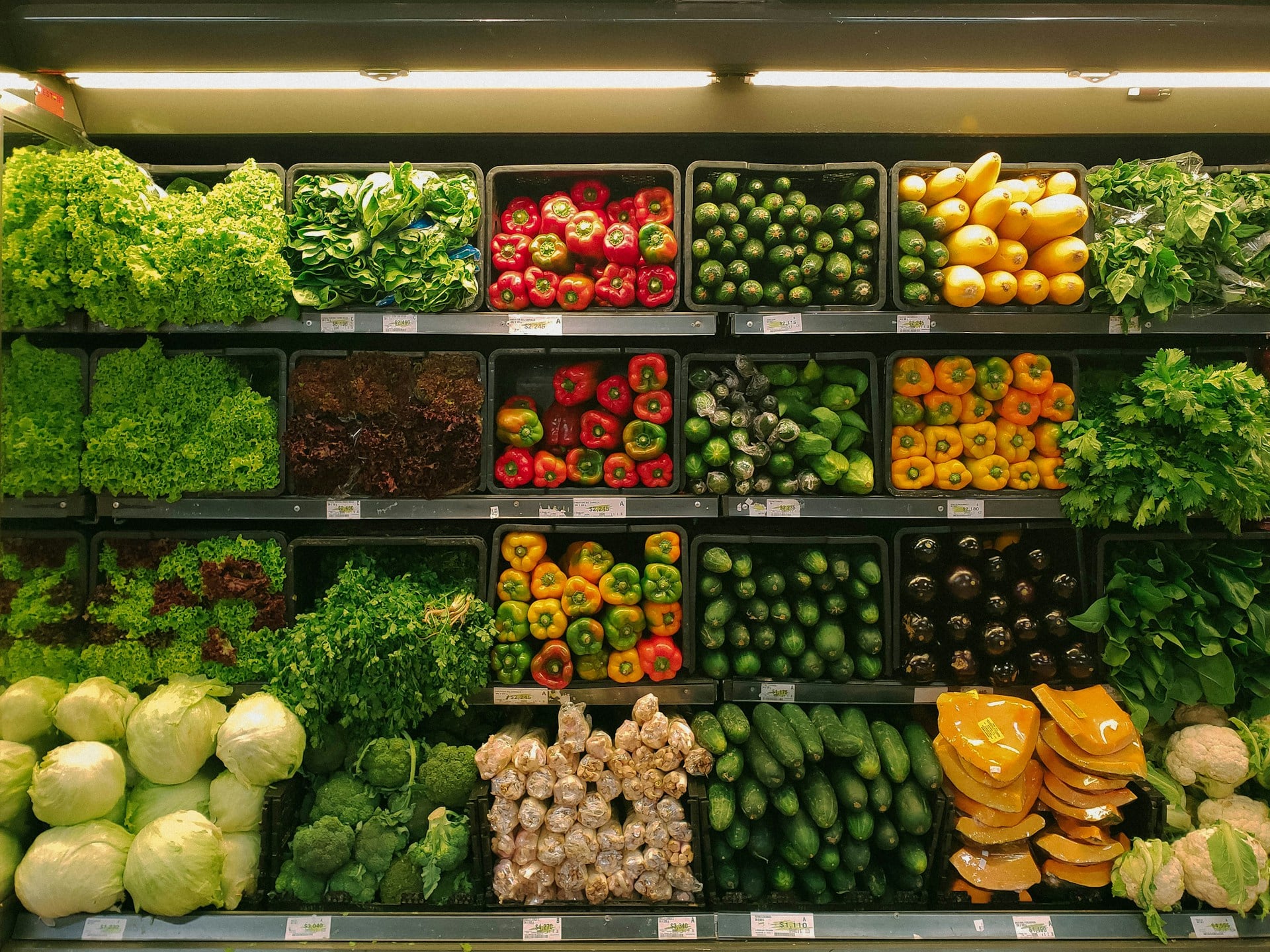 retail plant section
