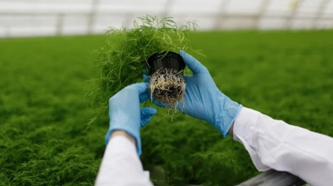 Agricultural biotechnology - Bright Green Partners