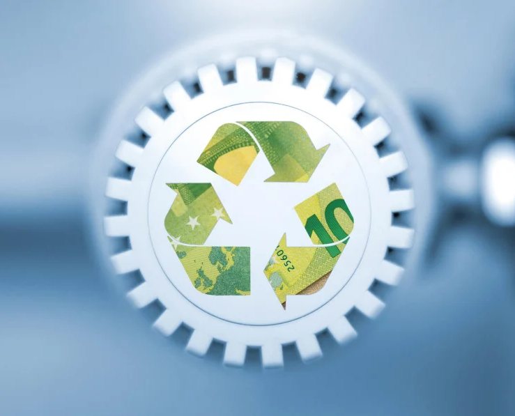 Circular economy - Bright Green partners