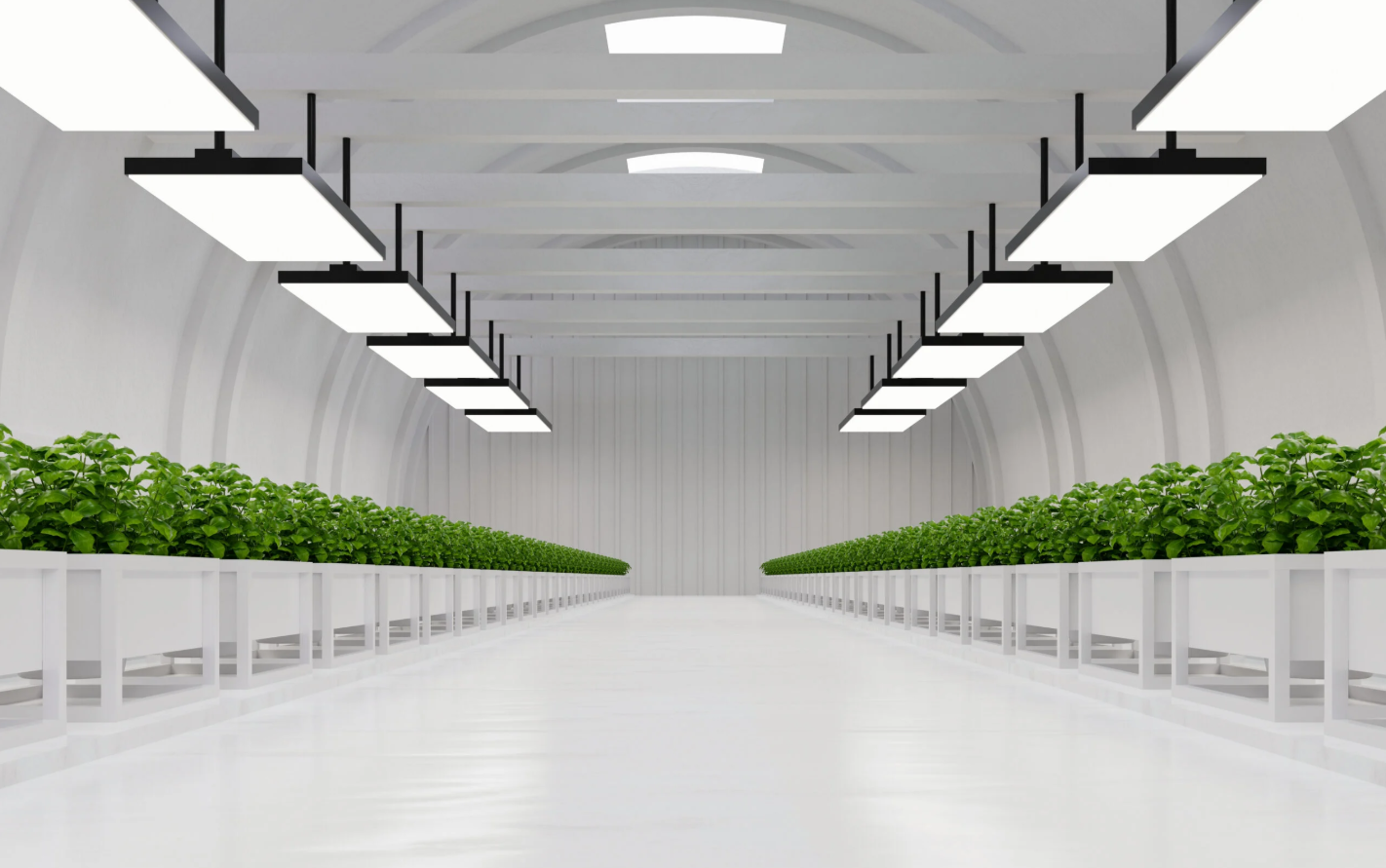 Green house vertical and indoor farming - Bright Green partners