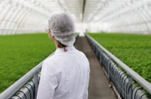 Precision agriculture
Bright Green Partners