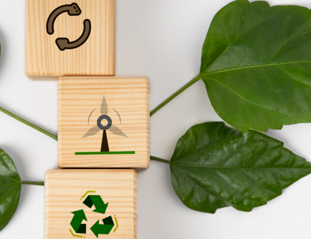 Circular economy Bright Green Partners