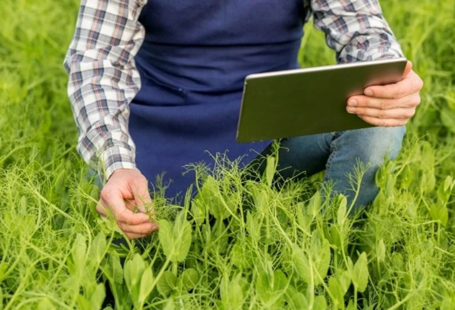 Climate resilience & sustainability Bright Green Partners