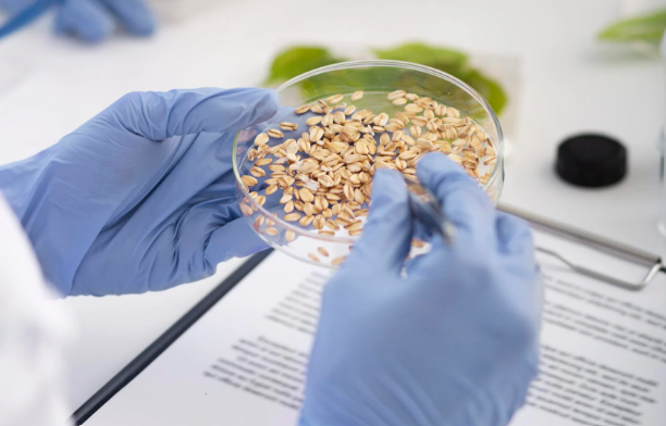 Novel food processing tech Bright Green Partners