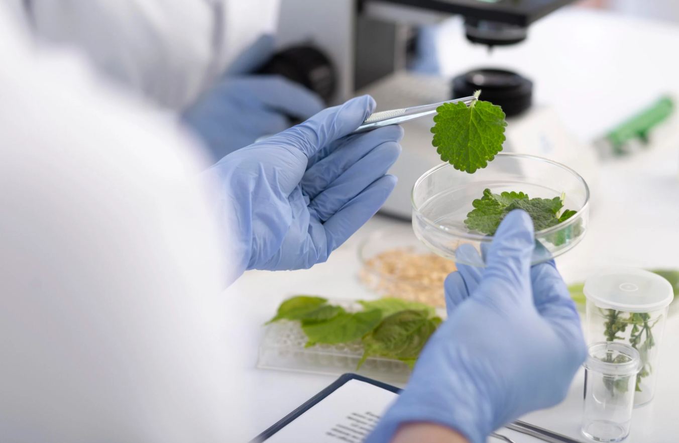 Novel food processing tech Bright Green Partners