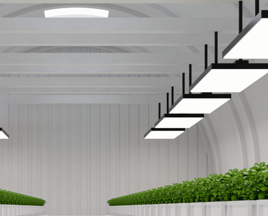 Green house Vertical and indoor farming - Bright Green Partners